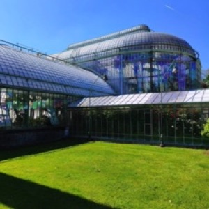 On aime toujours autant Bruxelles 🤩.#brussels #belgium #garden